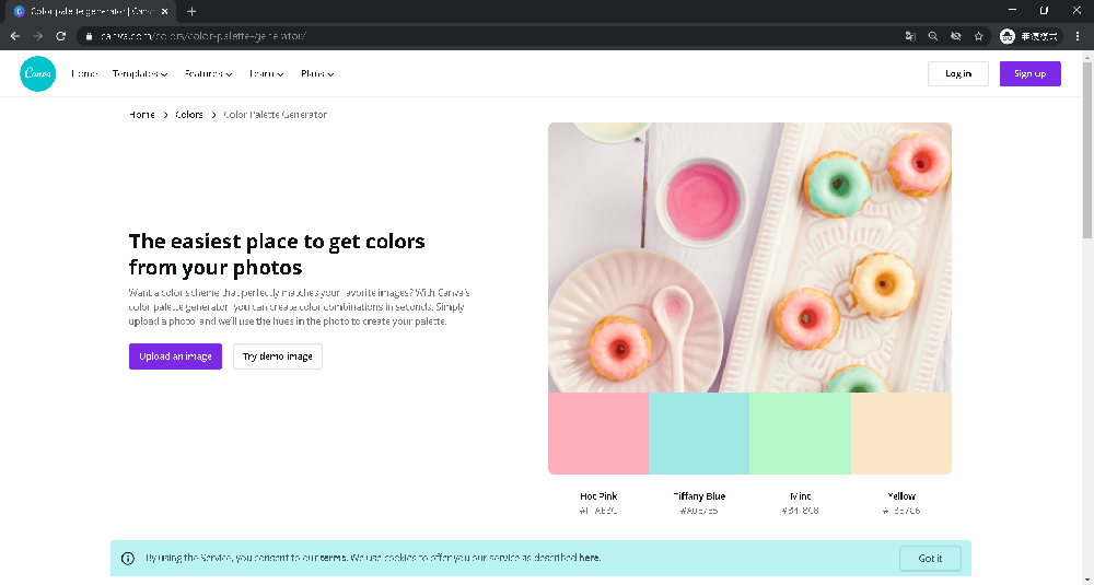 網頁設計配色-Canva
